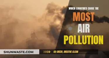 Air Pollution's Worst Offenders: A Global Overview