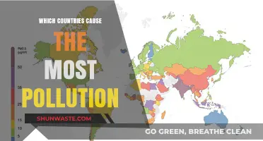 Global Polluters: Unveiling the Top Nations' Environmental Impact