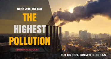 Pollution's Worst Offenders: Top Countries and Their Battles