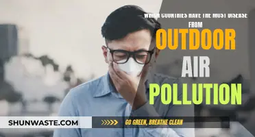 Air Pollution's Sickening Impact: Nations Most Affected