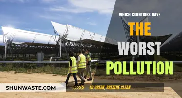 Pollution's Worst Offenders: A Global Perspective