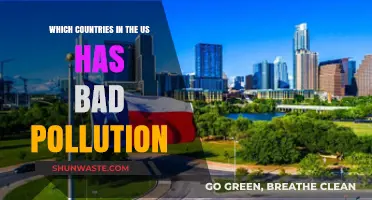 US States: Pollution's Worst Offenders