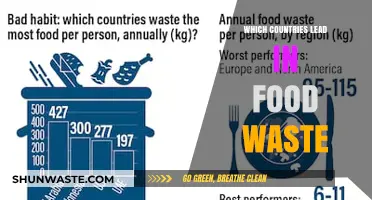 Global Food Waste Leaders: A Sobering Look at the Top Offenders