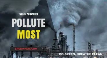 The World's Worst Polluters: A Global Crisis