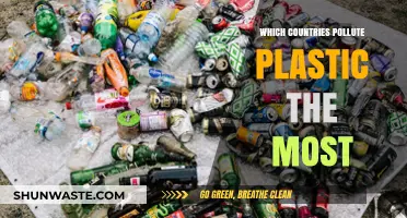 Plastic Pollution: The Worst Offenders and Their Impact