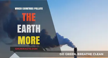 Who Pollutes Our Earth the Most?
