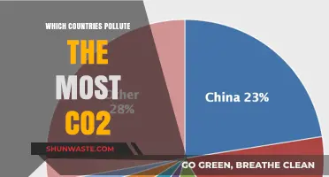 Who Pollutes the Most? Global CO2 Emissions