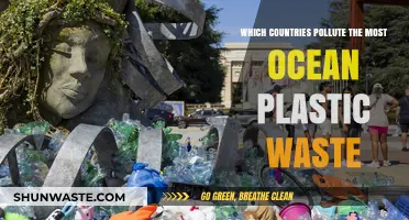 Plastic Polluters: Nations Behind the Ocean Waste Crisis
