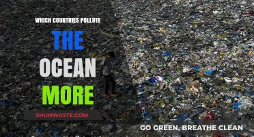 Who Pollutes Our Oceans?