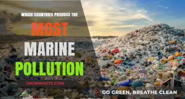 Who Pollutes Our Oceans the Most?
