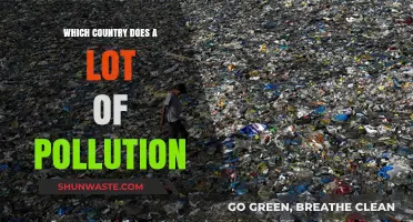 Pollution's Worst Offenders: A Country's Toxic Legacy