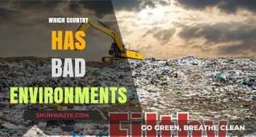 Exploring Nations with the Most Polluted and Degraded Environments