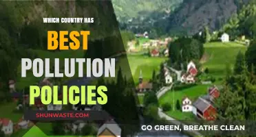 Global Pollution Policies: Who's Leading the Pack?