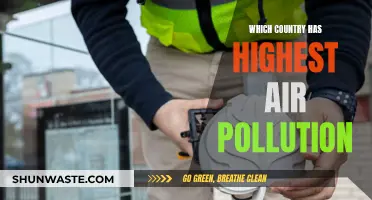 Air Pollution: Which Country Suffers the Most?