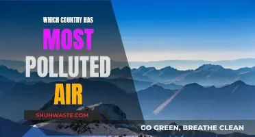 Air Pollution: Which Country Suffers the Most?