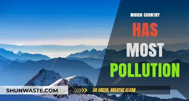 Pollution's Worst Offenders: The Most Polluted Countries