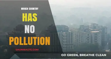 Utopia: Pollution-Free Countries and Their Secrets