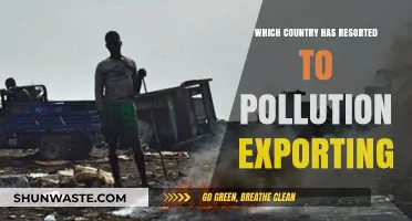 Pollution Exporting: The Dark Side of Environmental Progress