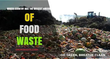Global Food Waste Crisis: Which Nation Tops the List?