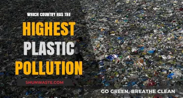 Plastic Pollution: The Country With the Highest Impact