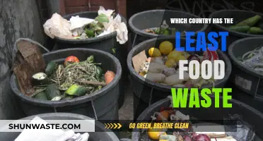 Exploring Global Food Waste: Which Country Leads by Example?