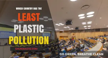 Plastic-Free Paradise: Where is it?