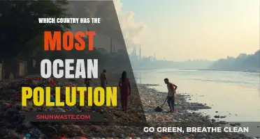 Ocean Pollution: Which Country is the Worst Offender?