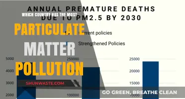 Particulate Matter Pollution: The World's Worst Offenders