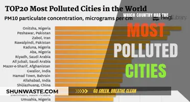 Polluted Cities: The Countries With the Dirtiest Air