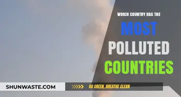 Polluted Countries: The Toxic Air Capitals