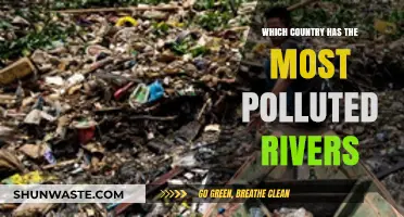 Polluted Rivers: Which Country Has the Dirtiest Waterways?