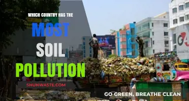 Soil Pollution: Which Country Faces the Worst Crisis?
