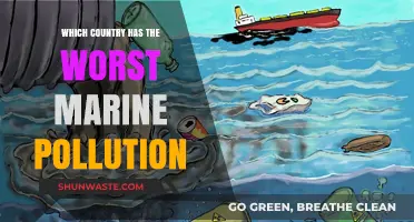 The Ocean's Worst Polluters: A Global Marine Crisis