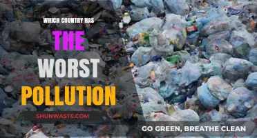 Pollution's Worst Offenders: A Global Health Crisis