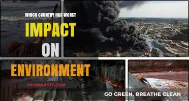 The Country with the Most Devastating Environmental Impact: A Global Crisis