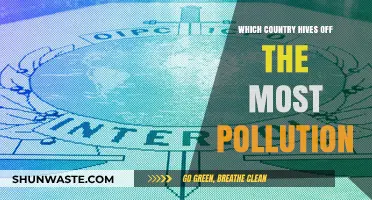 Global Pollution: Who is the Worst Offender?