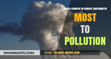 European Polluters: Who's the Worst Offender?