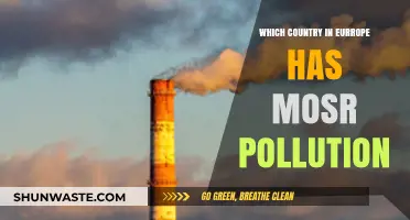 European Pollution: Which Country Leads in Environmental Damage?