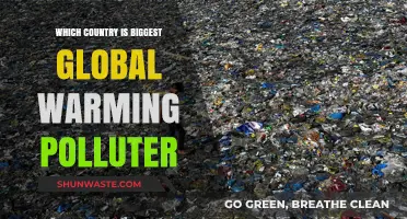 Global Warming's Worst Offenders: Country Polluters Revealed