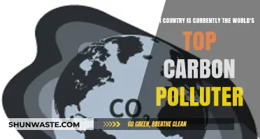 Who's the Biggest Carbon Polluter Now?