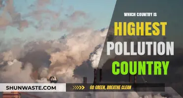 Pollution's Worst Offenders: Country Ranking
