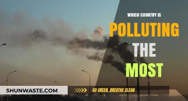Who is the Biggest Polluter?