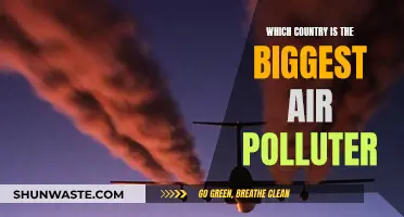 Air Pollution: Who's the Worst Offender?