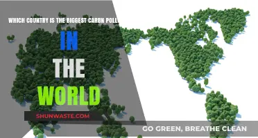 Global Carbon Pollution: Who's the Worst Offender?