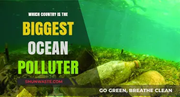 Who is the Biggest Ocean Polluter Globally?