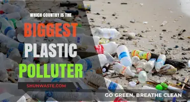 Plastic Pollution: The Worst Offenders and Their Impact