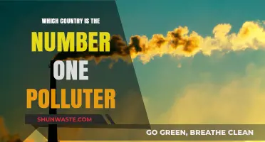 Who's the Top Polluter?