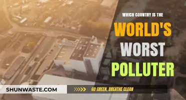The World's Worst Polluter: Who's Responsible?