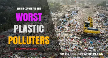 Plastic Pollution: The Worst Offenders Revealed