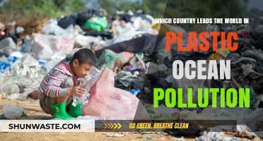 Who Pollutes Our Oceans the Most?